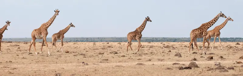 Africa