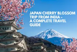 Japan Cherry Blossom Trip from India