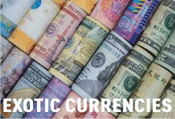 Popular Exotic Currencies in Foreign Exchange