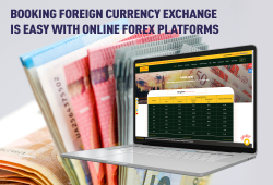 streamline currency exchange with online forex platform